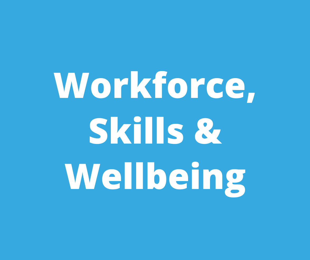 Workforce, Skills & Wellbeing Theatre